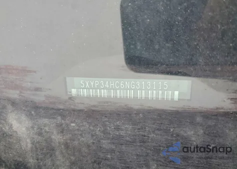 2022 Kia Telluride Ex from USA, damaged, VIN 5XYP34HC6NG313115